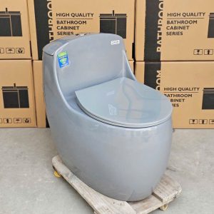 Bồn cầu trứng xám VA2888