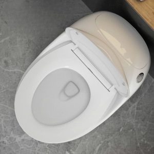 Bồn cầu trứng VA3004