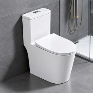 Bồn cầu nhỏ gọn 2205